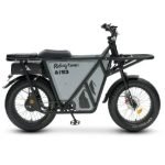 Riding Times GT53 Electric Cargo Bike