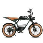 Samebike M20 Electric Bike
