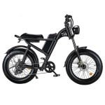 Riding Times Z8 Electric Bike