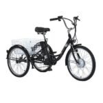 Gogobest GF100 Electric Tricycle Cargo E-bike - Afbeelding 13