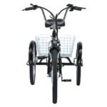 Gogobest GF100 Electric Tricycle Cargo E-bike - Afbeelding 11