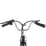 Gogobest GF100 Electric Tricycle Cargo E-bike - Afbeelding 5