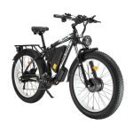 Philodo H8 Dual Motor Cargo bike -UK