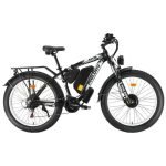 Philodo H8 Dual Motor Cargo Electric bike