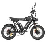 Ridstar Q20 Pro Electric Bike